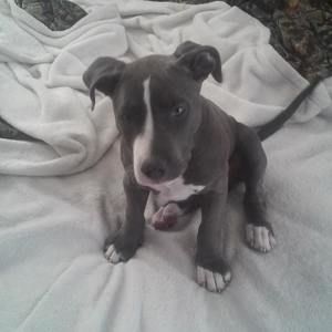 Meet your Posher, Thane